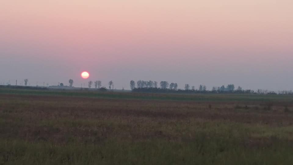 Day9
